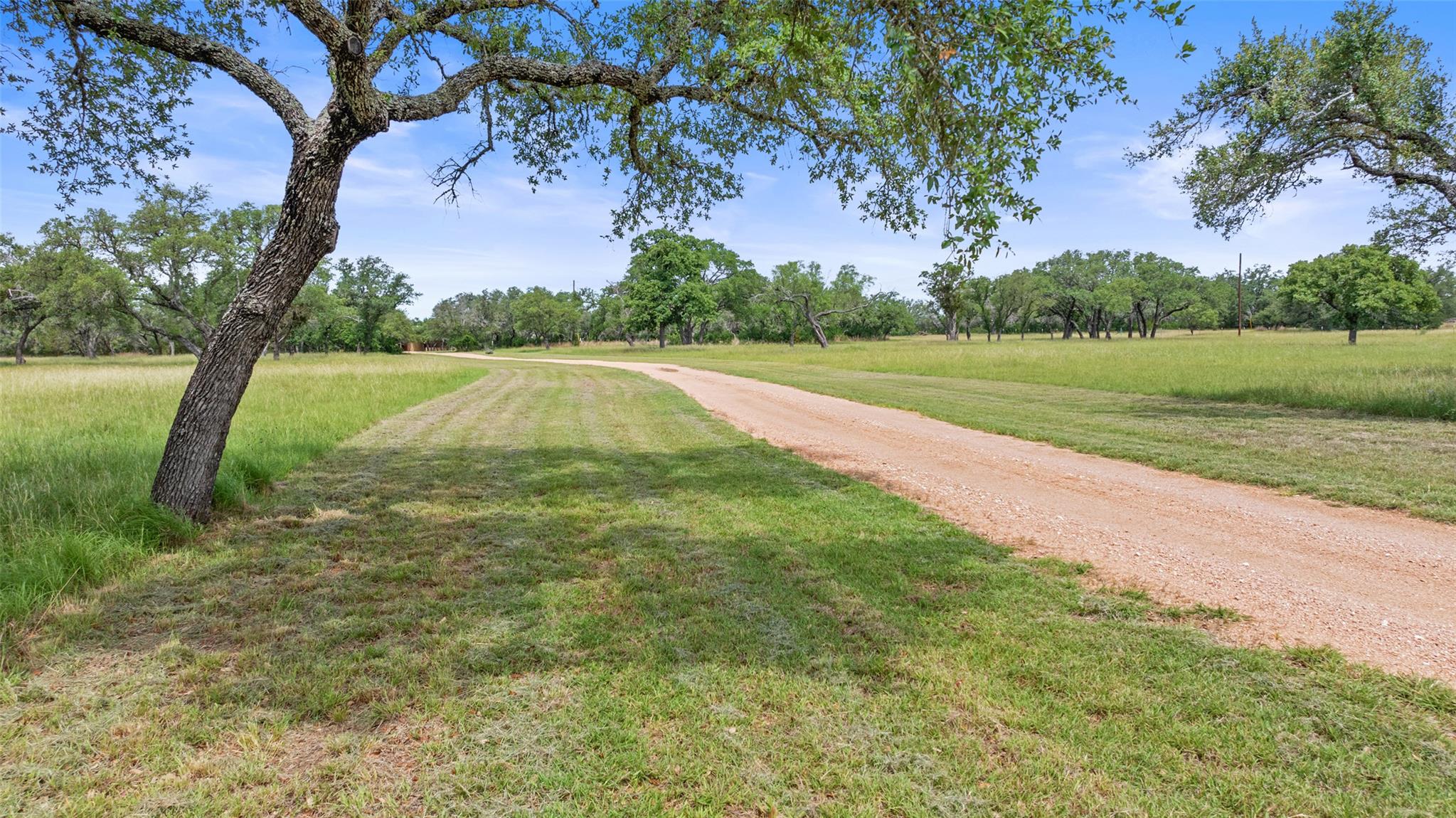 1241 Sandy Oaks Ranch RD