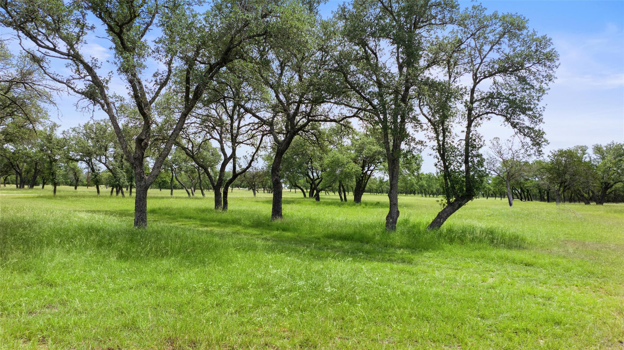 1241 Sandy Oaks Ranch RD