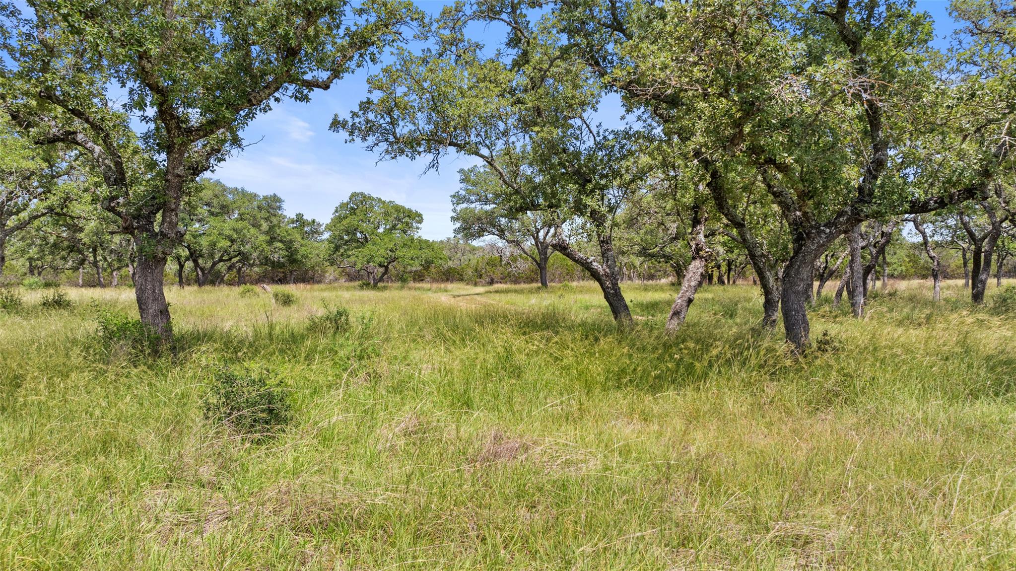 1241 Sandy Oaks Ranch RD