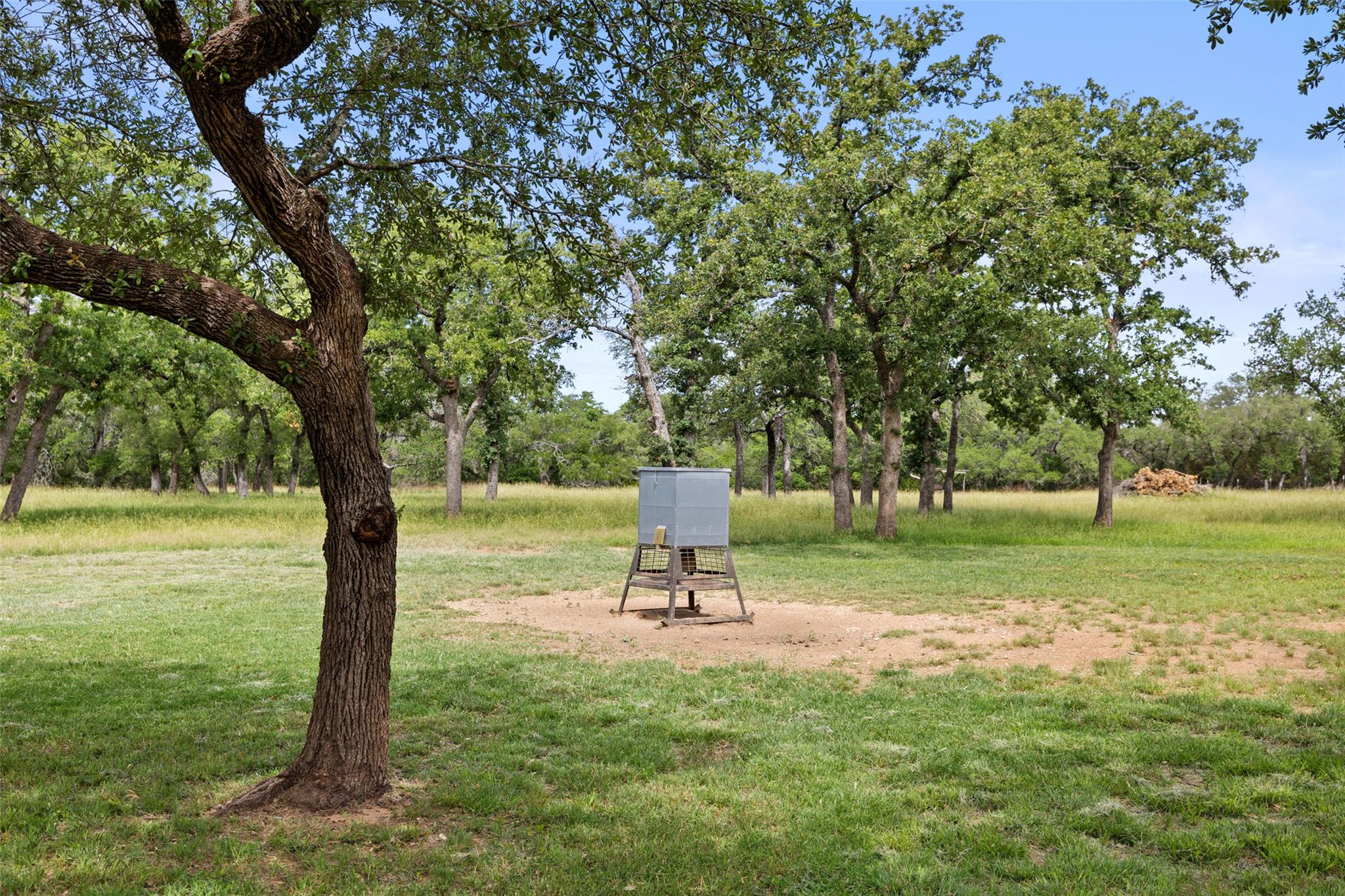 1241 Sandy Oaks Ranch RD