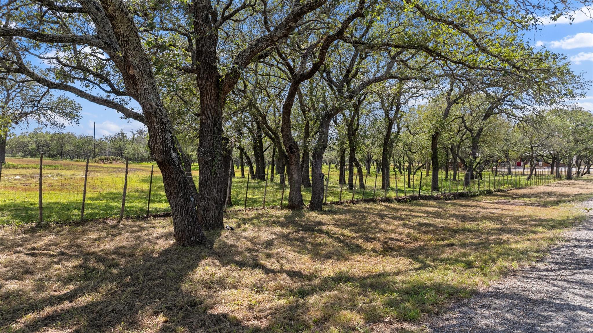 2631 N US 281 Highway