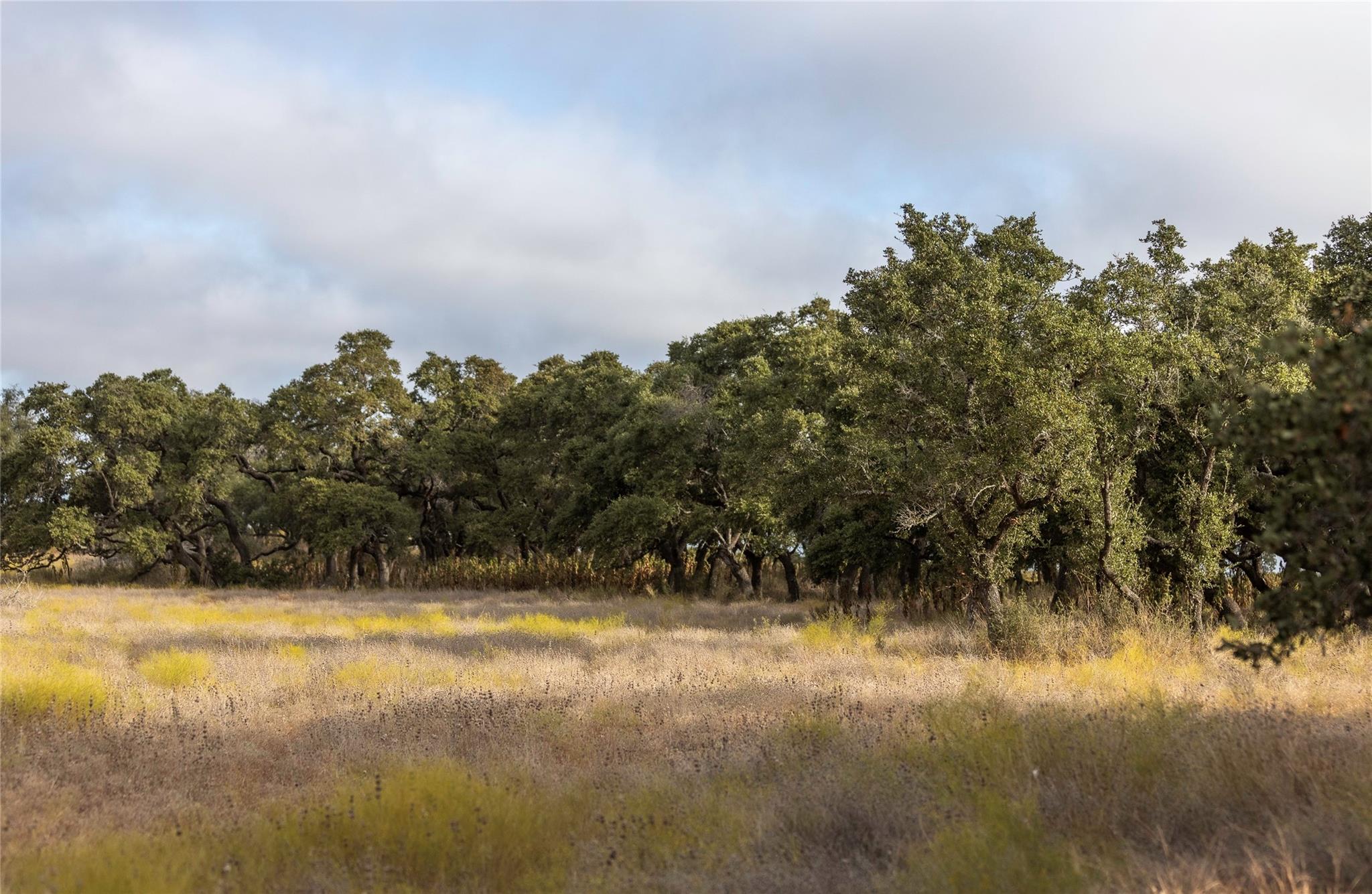 Lot 1 Legacy Hills DR