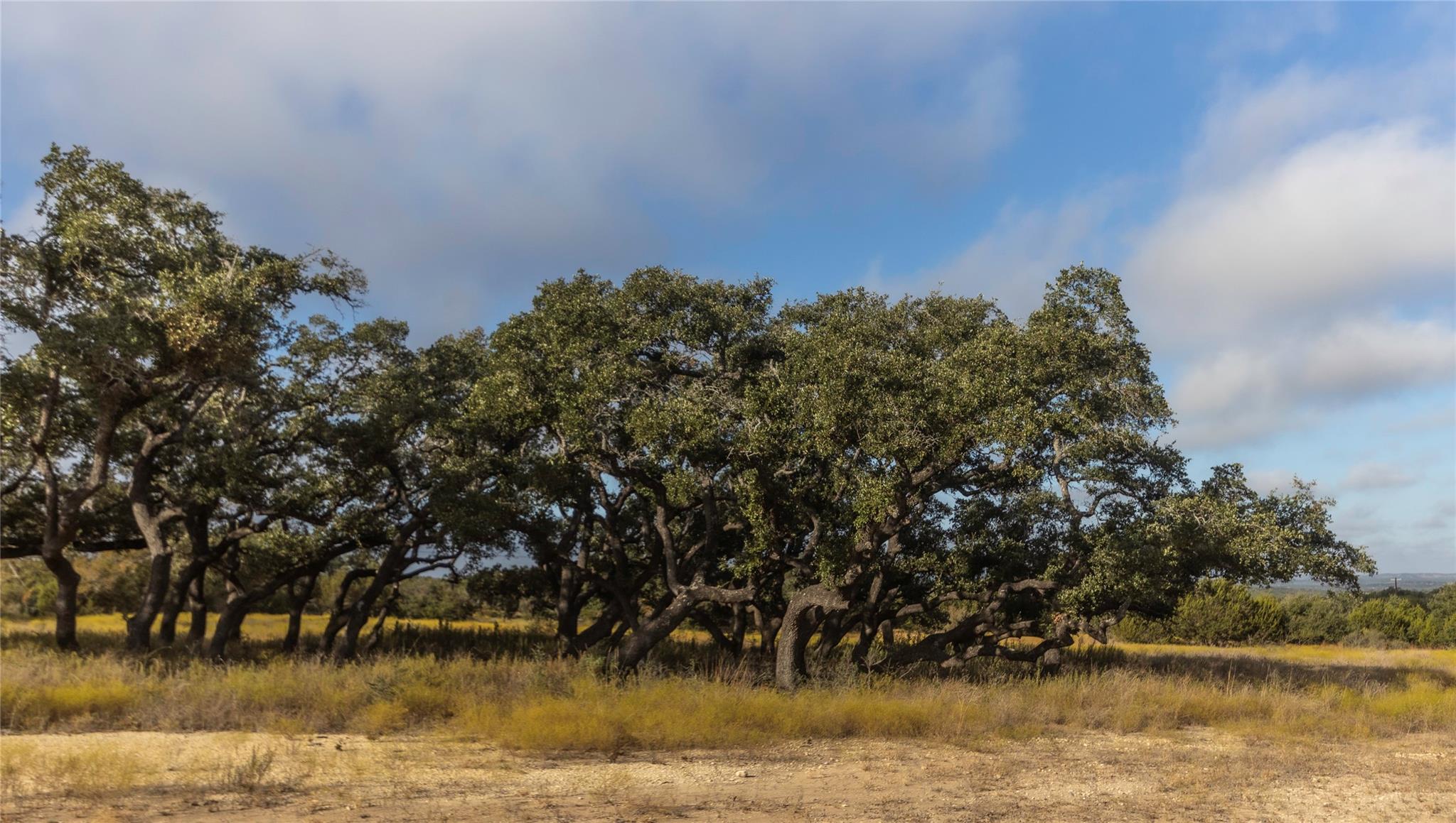 Lot 1 Legacy Hills DR