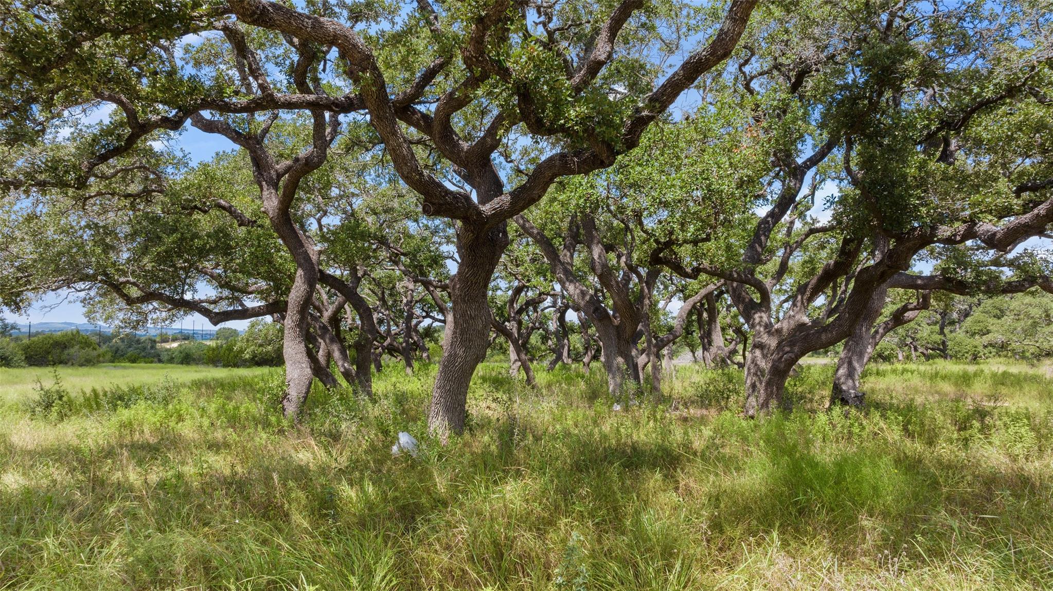 Lot 1 Legacy Hills DR