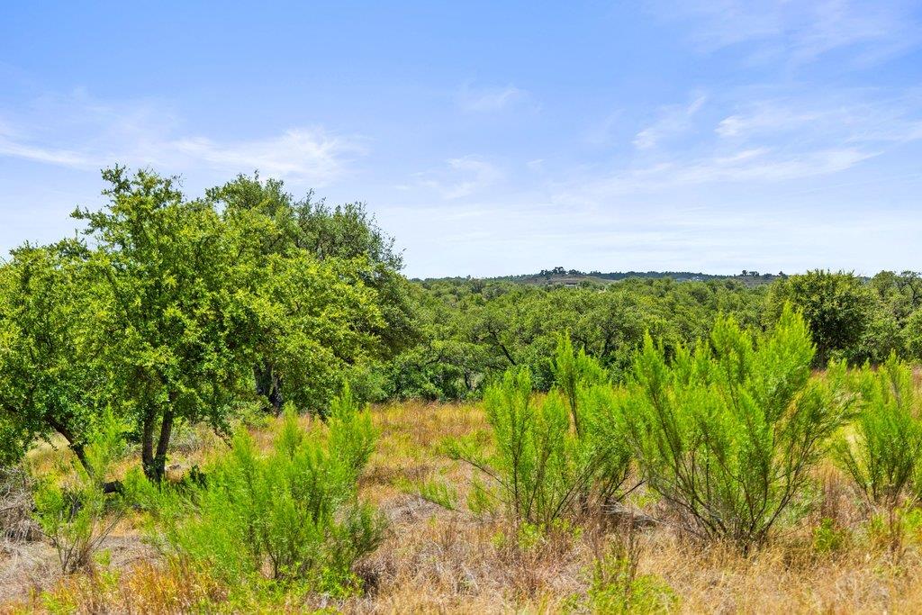 207 Verbena RD