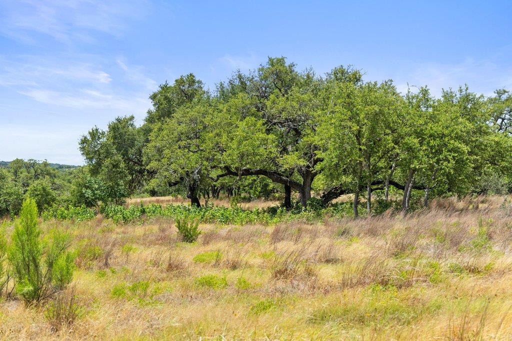 207 Verbena RD