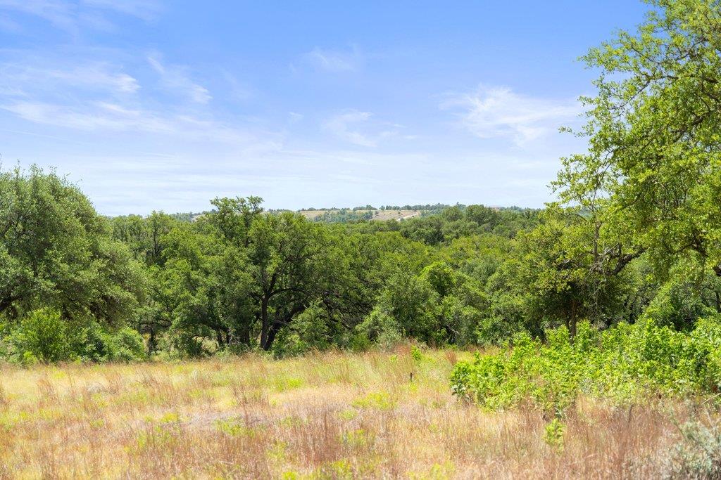 207 Verbena RD