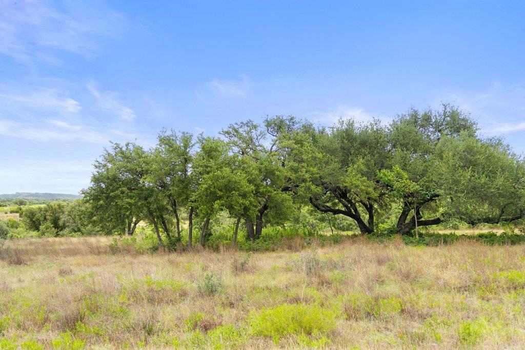 207 Verbena RD