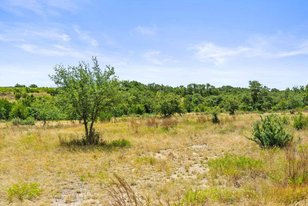 207 Verbena RD