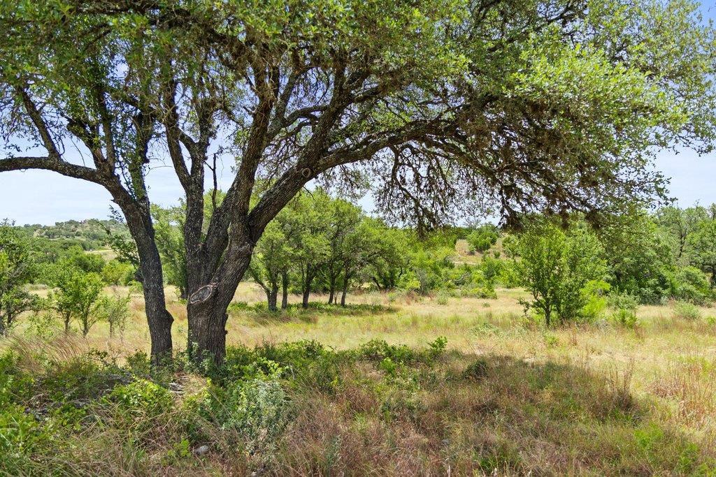 207 Verbena RD