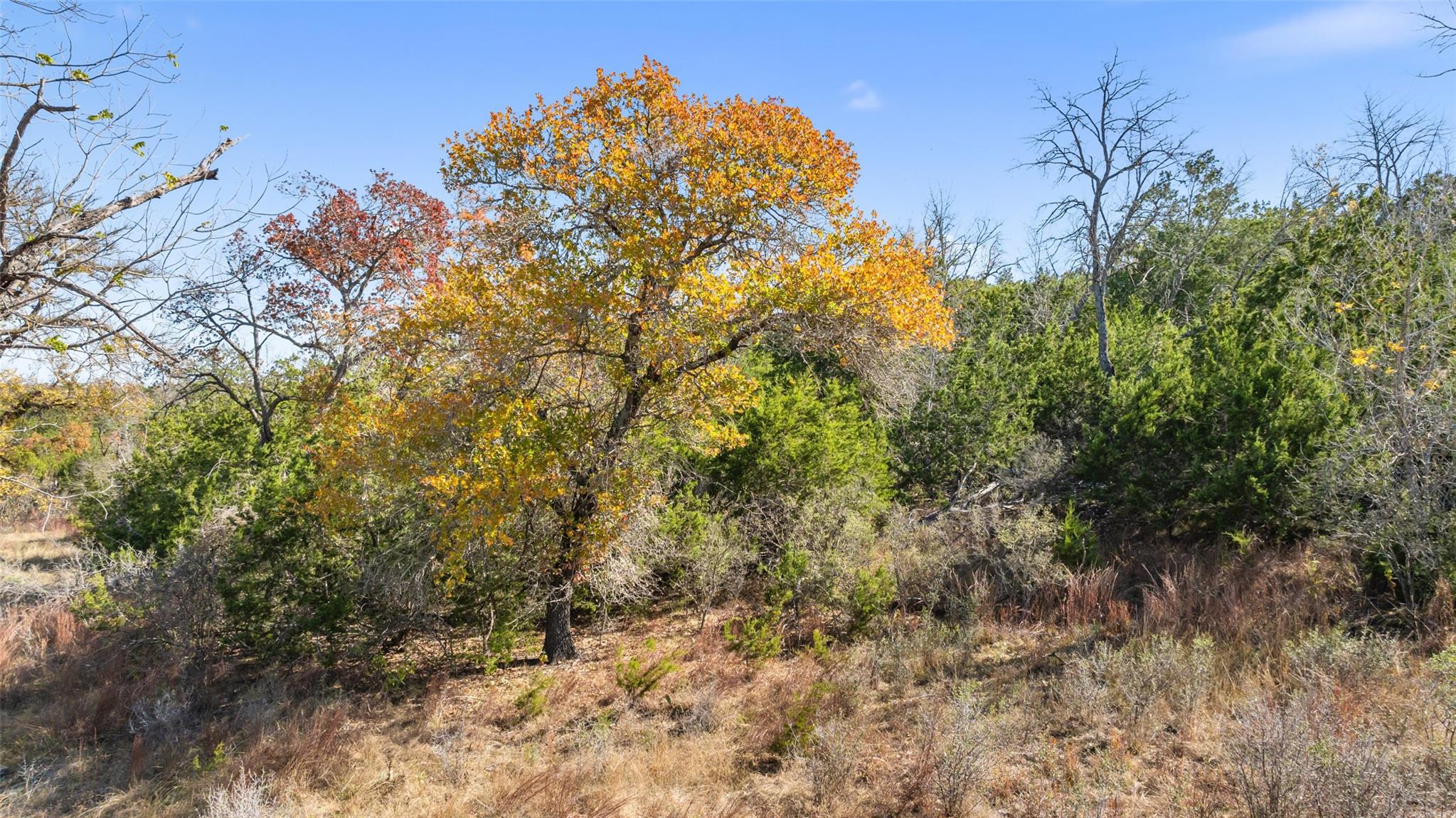 271 S Cielo Vista CT