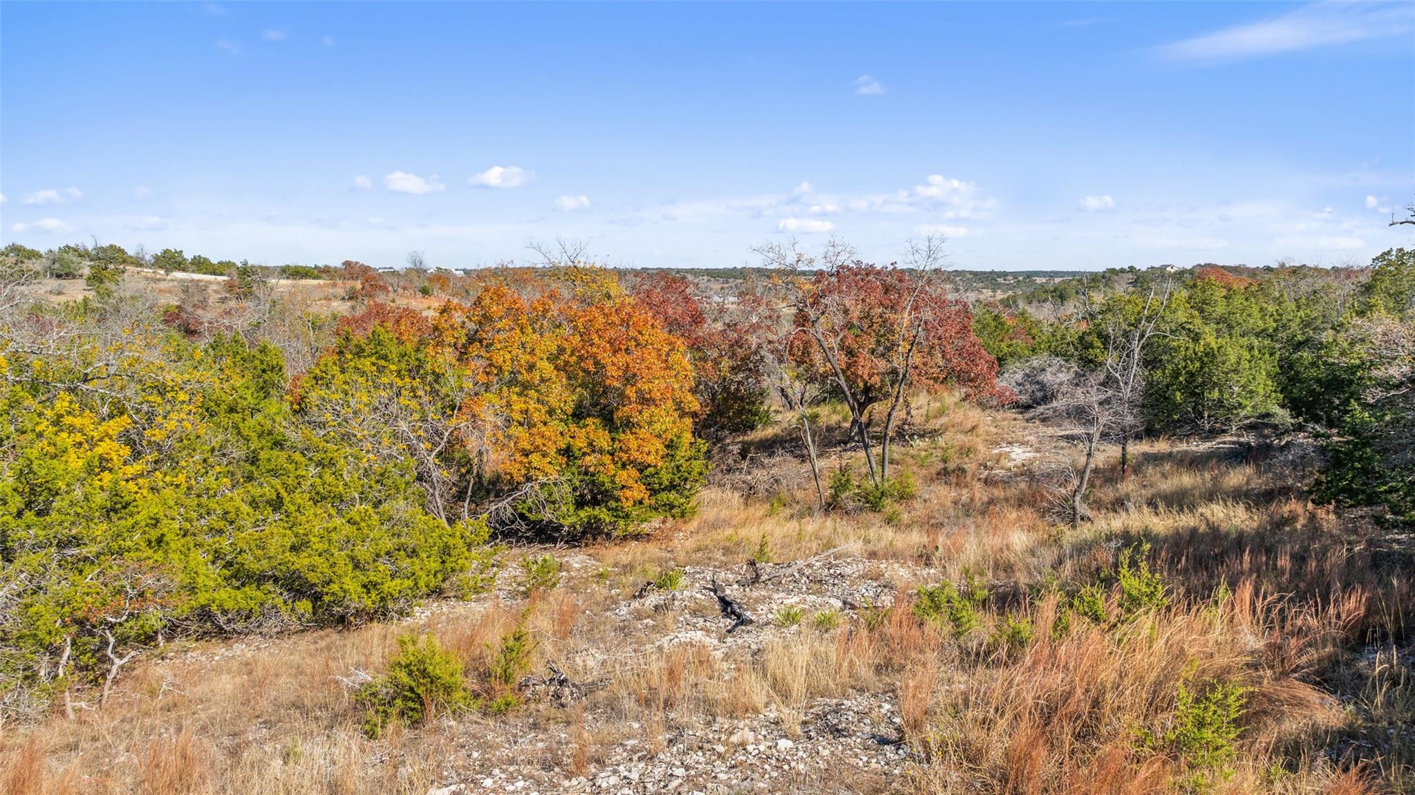 271 S Cielo Vista CT