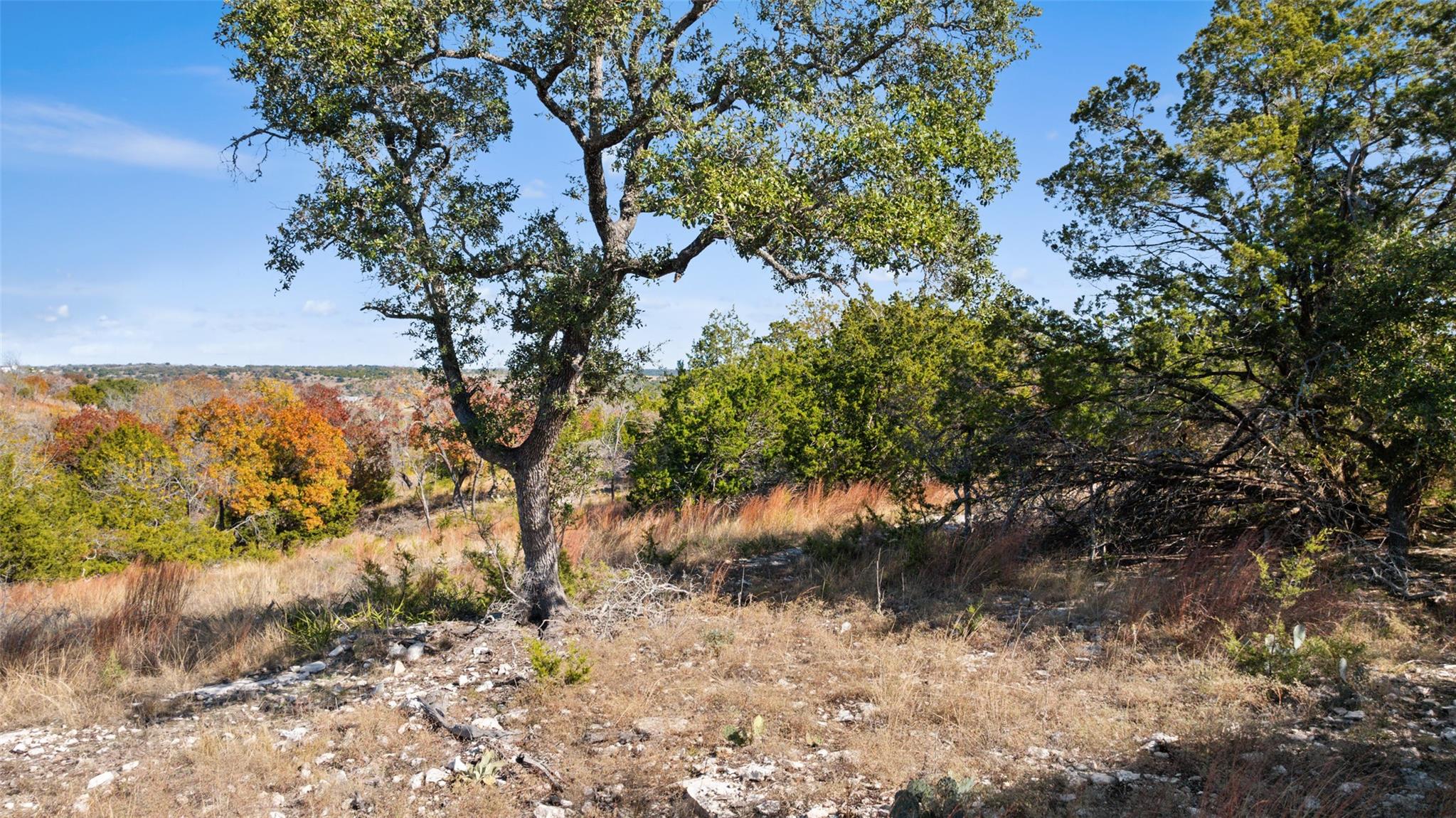 271 S Cielo Vista CT