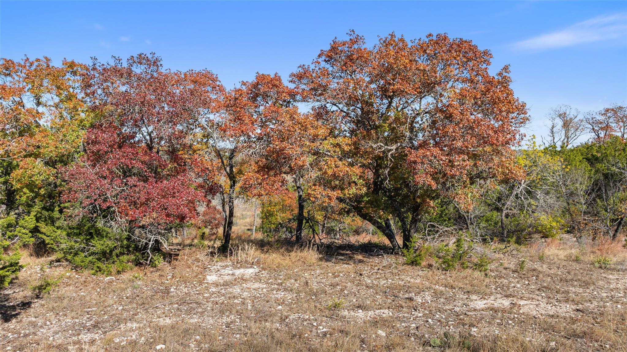 271 S Cielo Vista CT