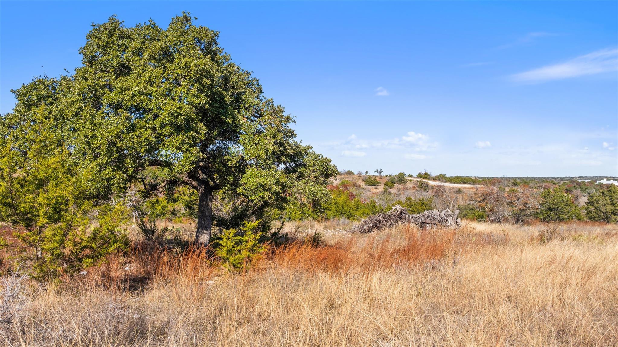 271 S Cielo Vista CT