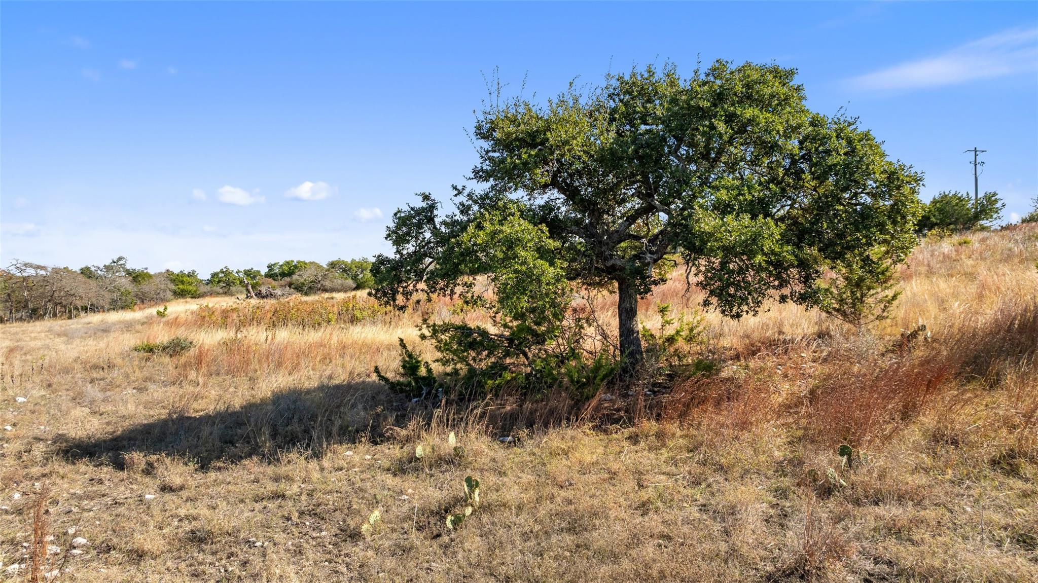 271 S Cielo Vista CT