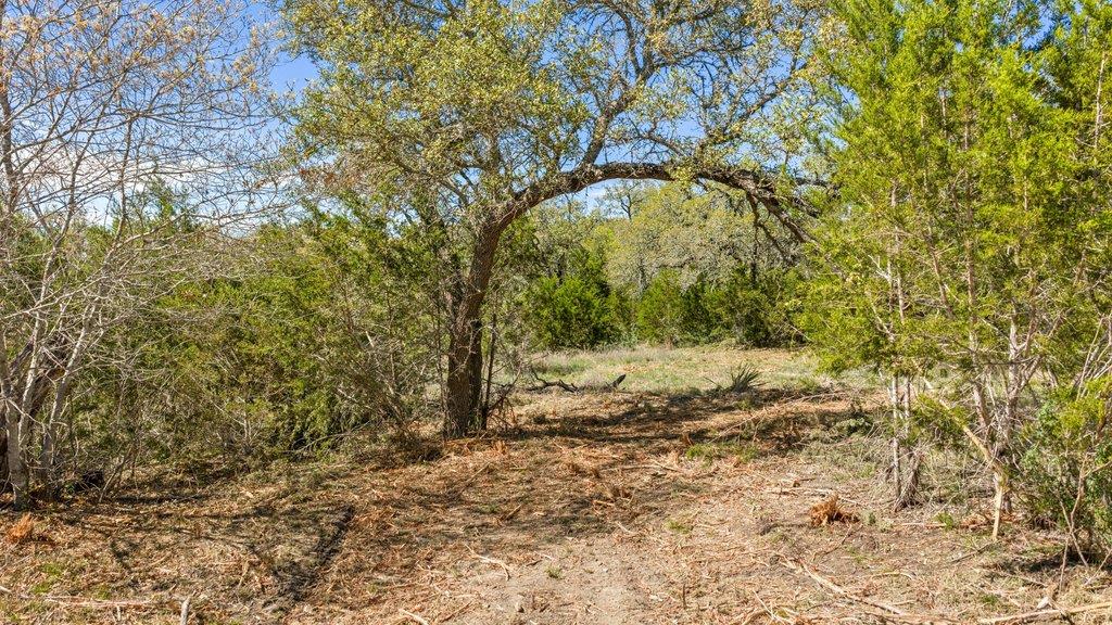 Lot 19 Stone Ridge Mountain DR