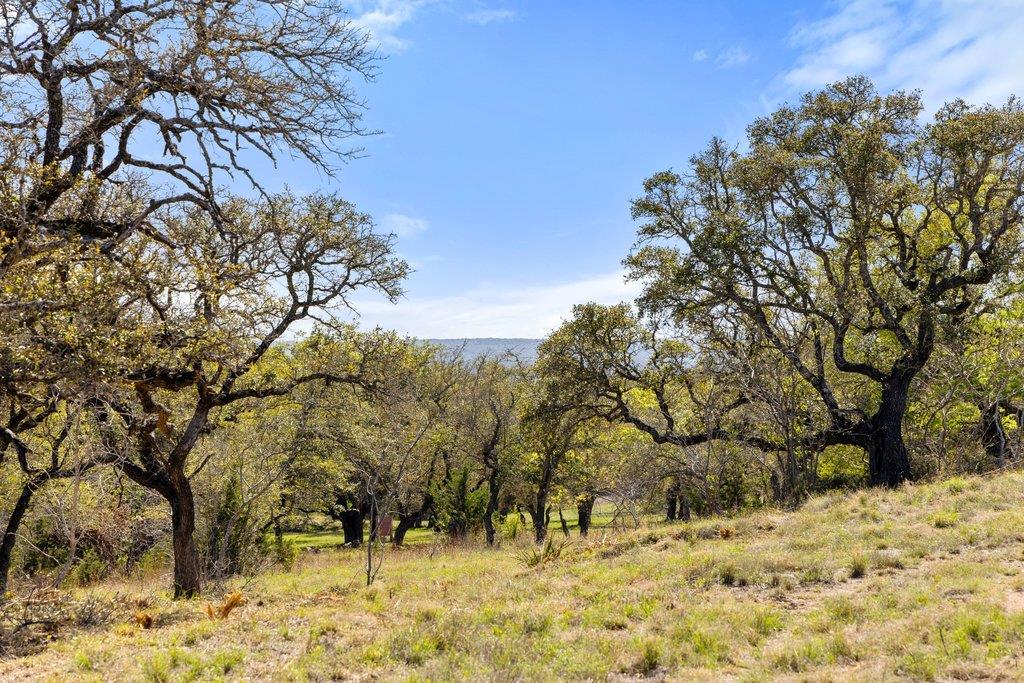 Lot 19 Stone Ridge Mountain DR