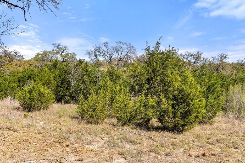 Lot 19 Stone Ridge Mountain DR