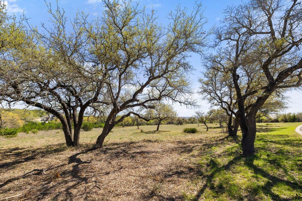 Lot 19 Stone Ridge Mountain DR