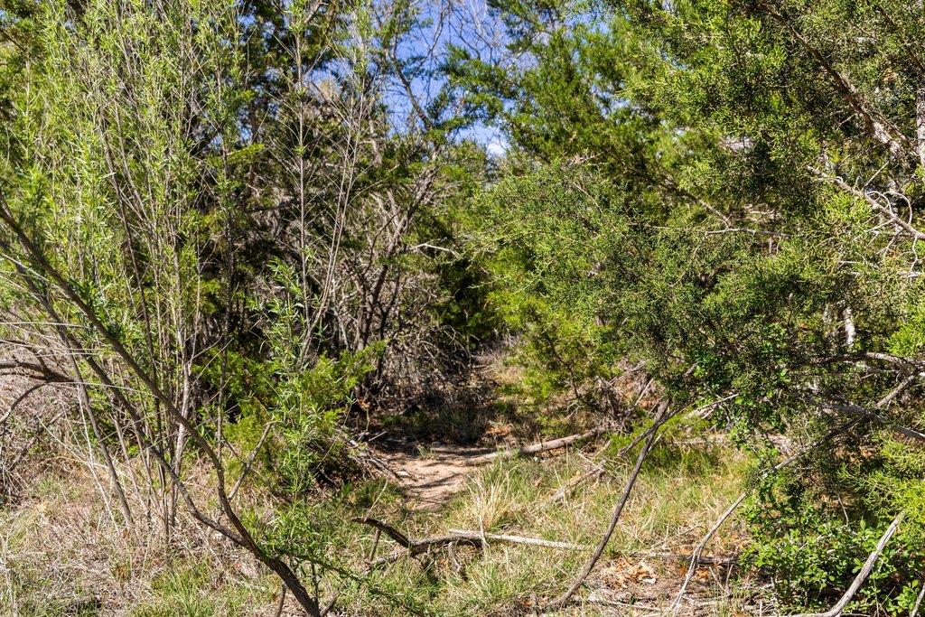 Lot 19 Stone Ridge Mountain DR