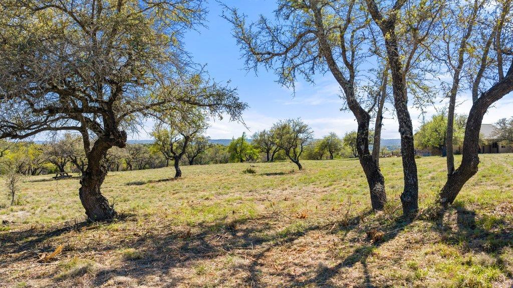 Lot 19 Stone Ridge Mountain DR