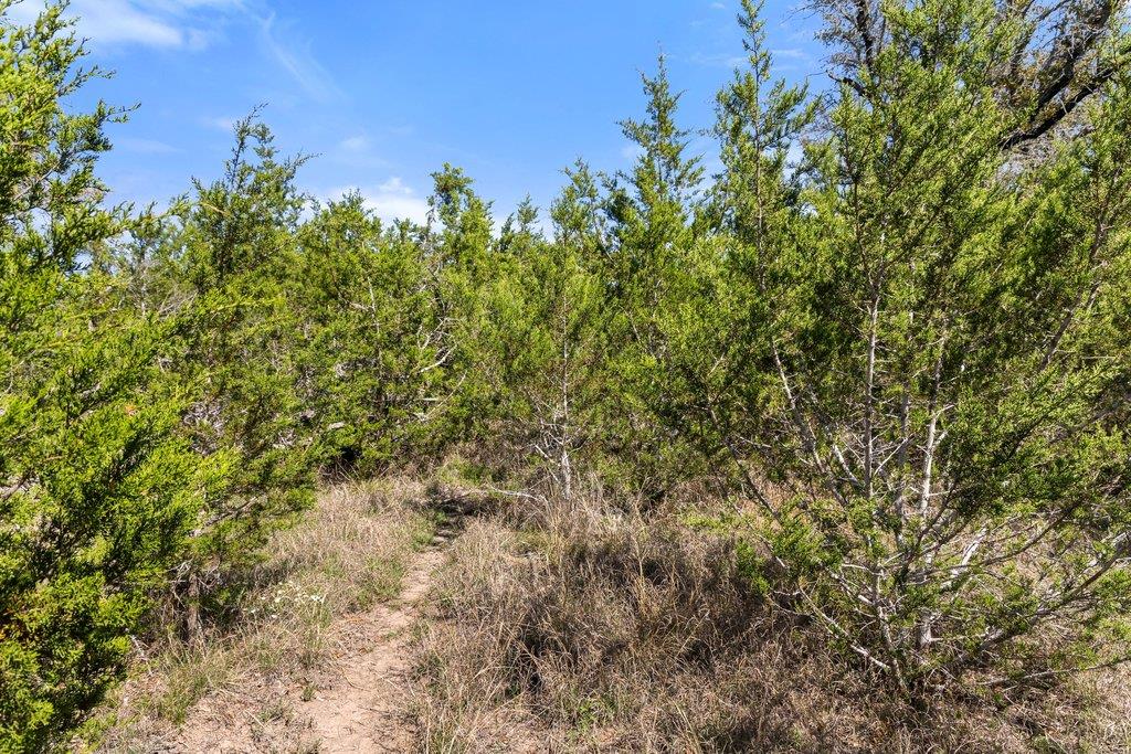 Lot 19 Stone Ridge Mountain DR