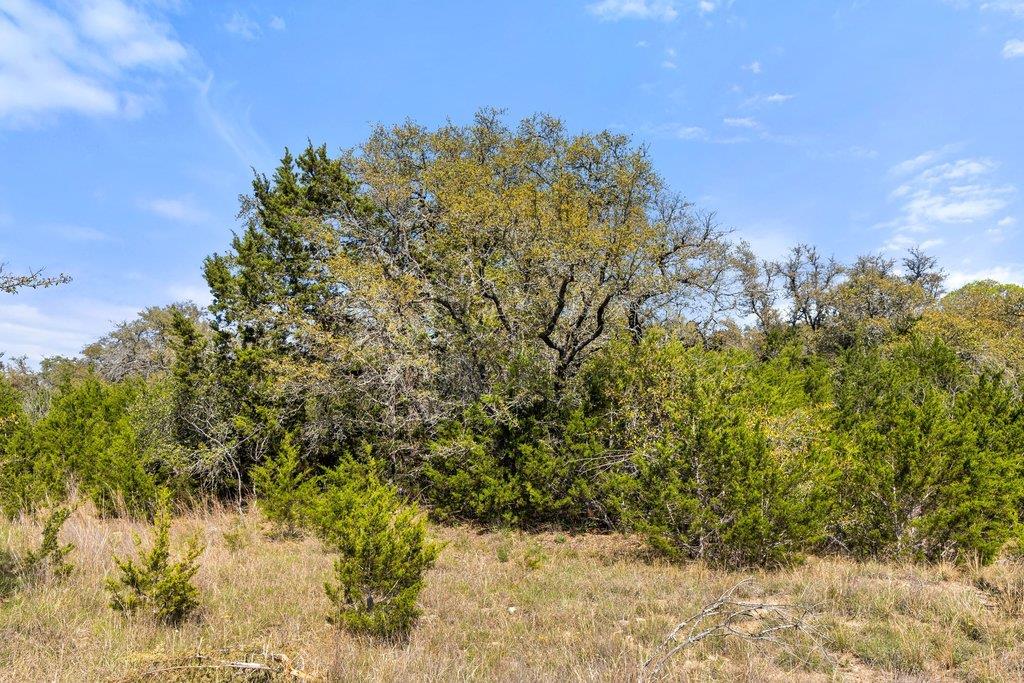 Lot 19 Stone Ridge Mountain DR