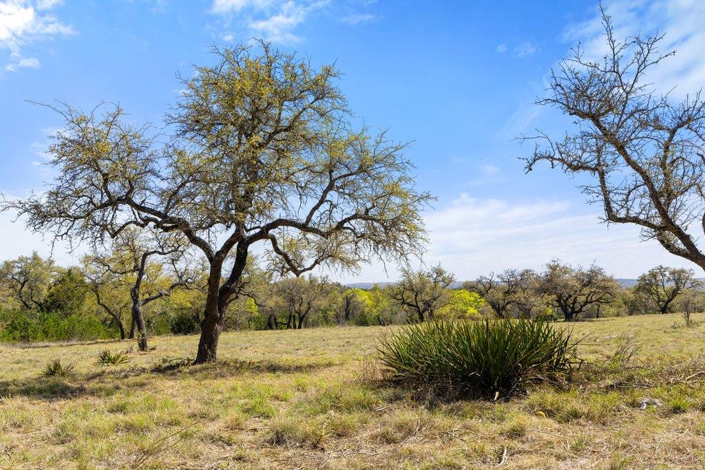 Lot 19 Stone Ridge Mountain DR