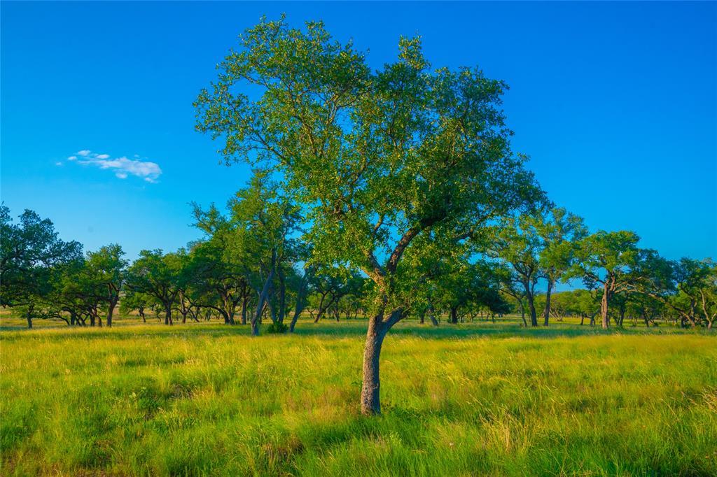 0 High Point Ranch