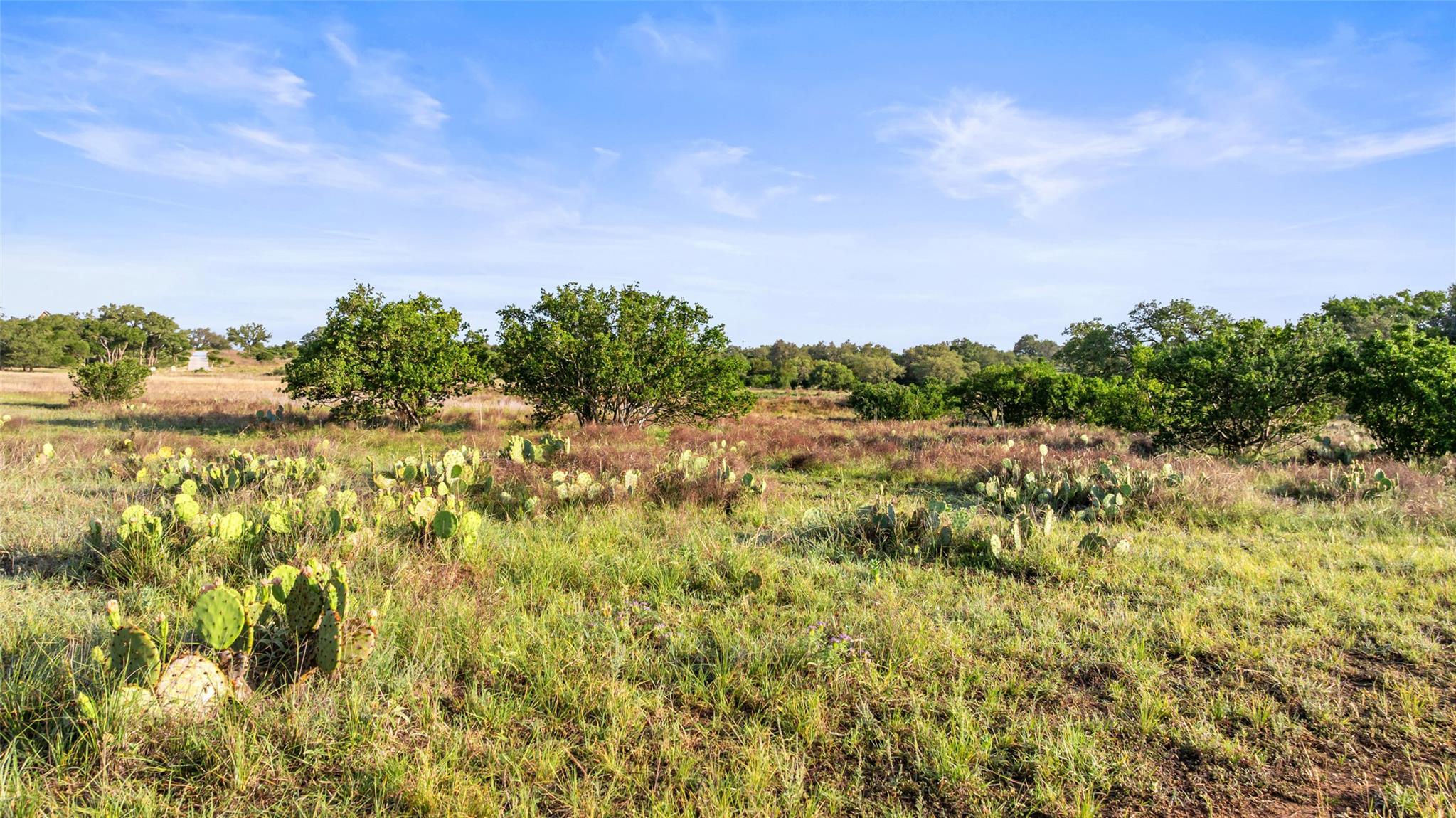 Lot 3 Vista Ridge DR