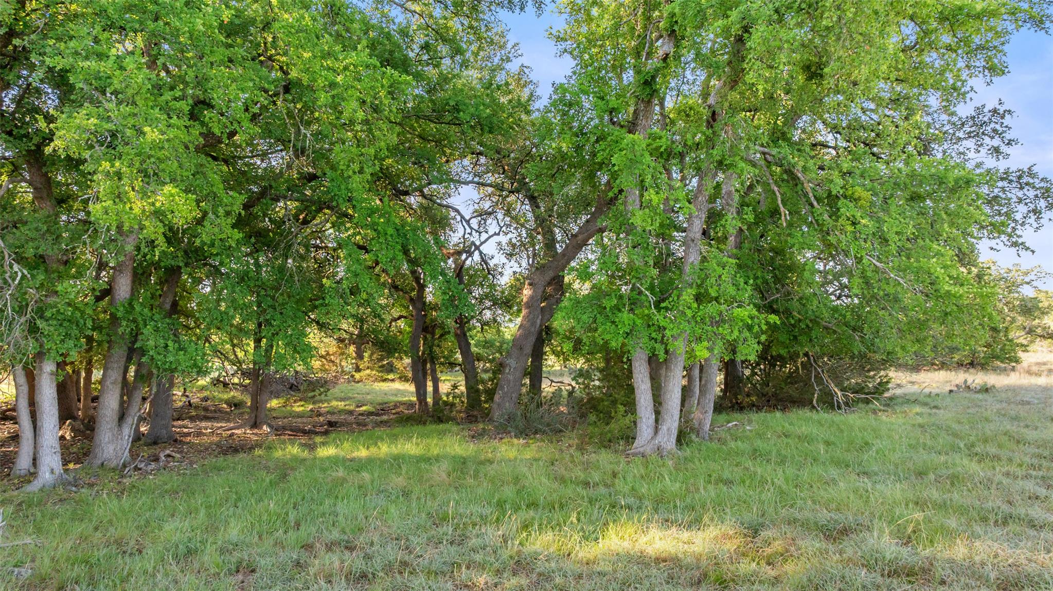 Lot 3 Vista Ridge DR