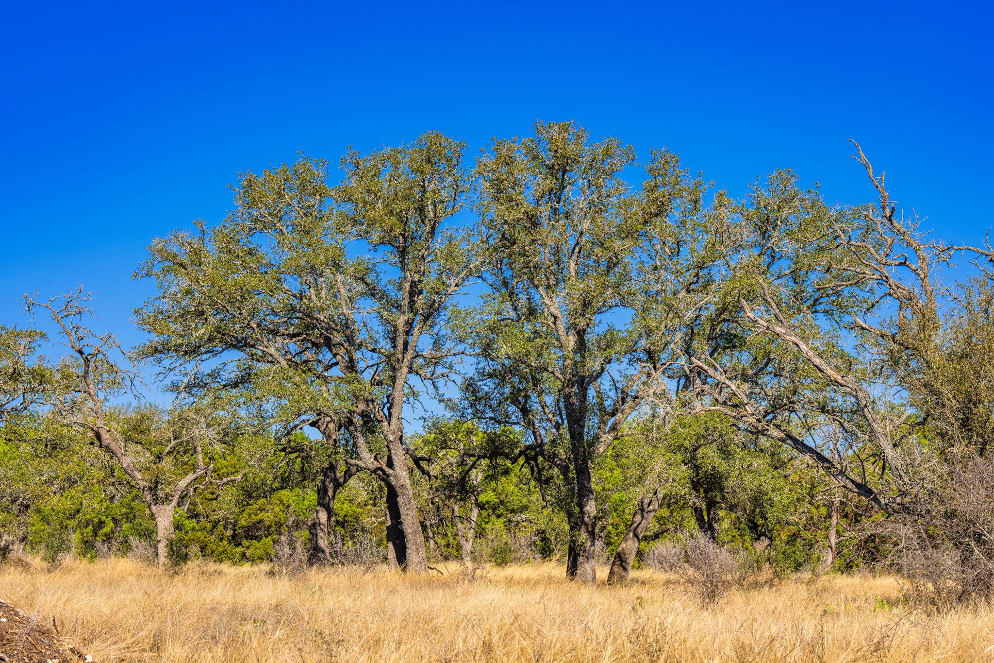 4772-1 County Road 340