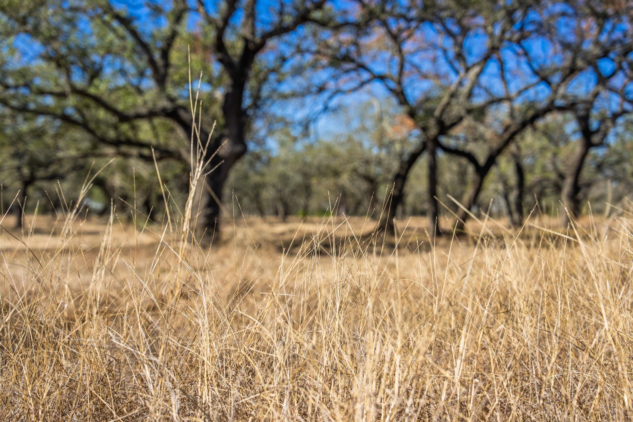 4772-1 County Road 340