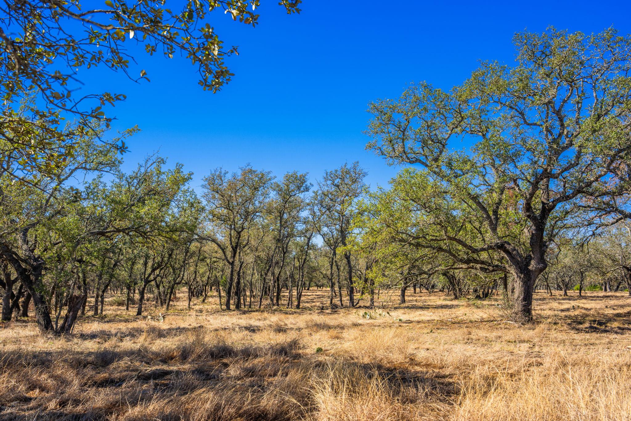 4772-1 County Road 340