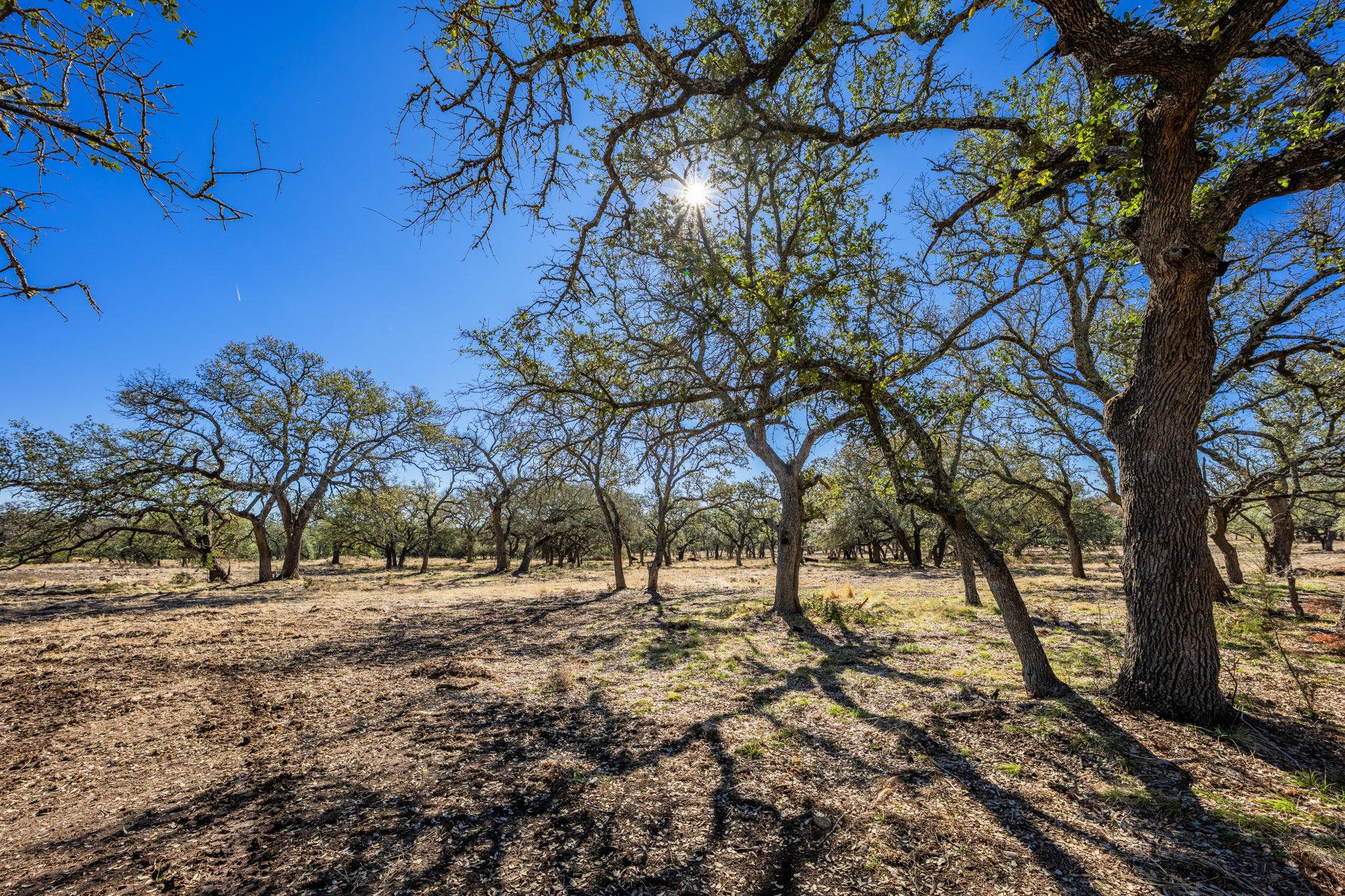 4772-1 County Road 340