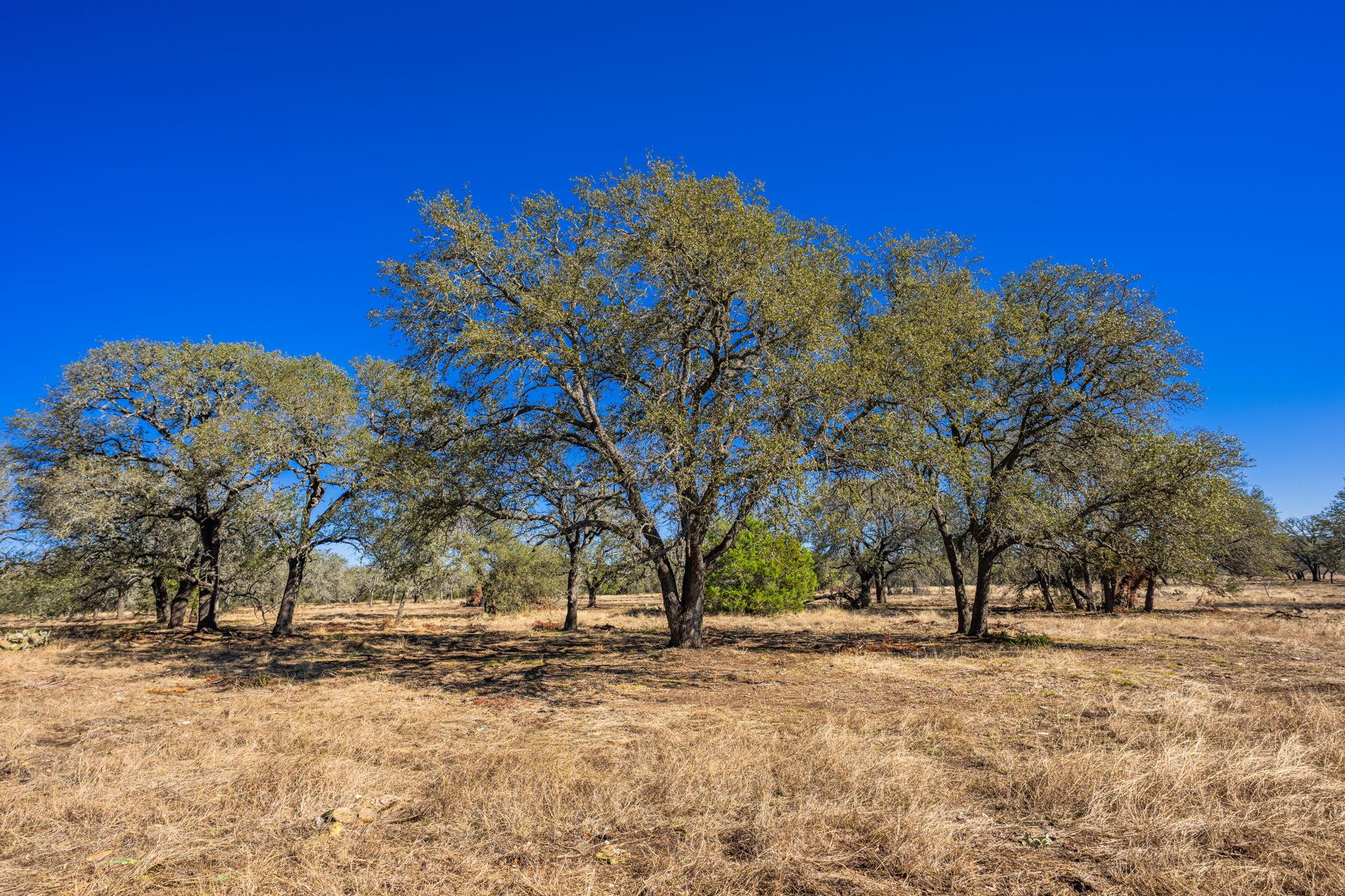 4772-1 County Road 340