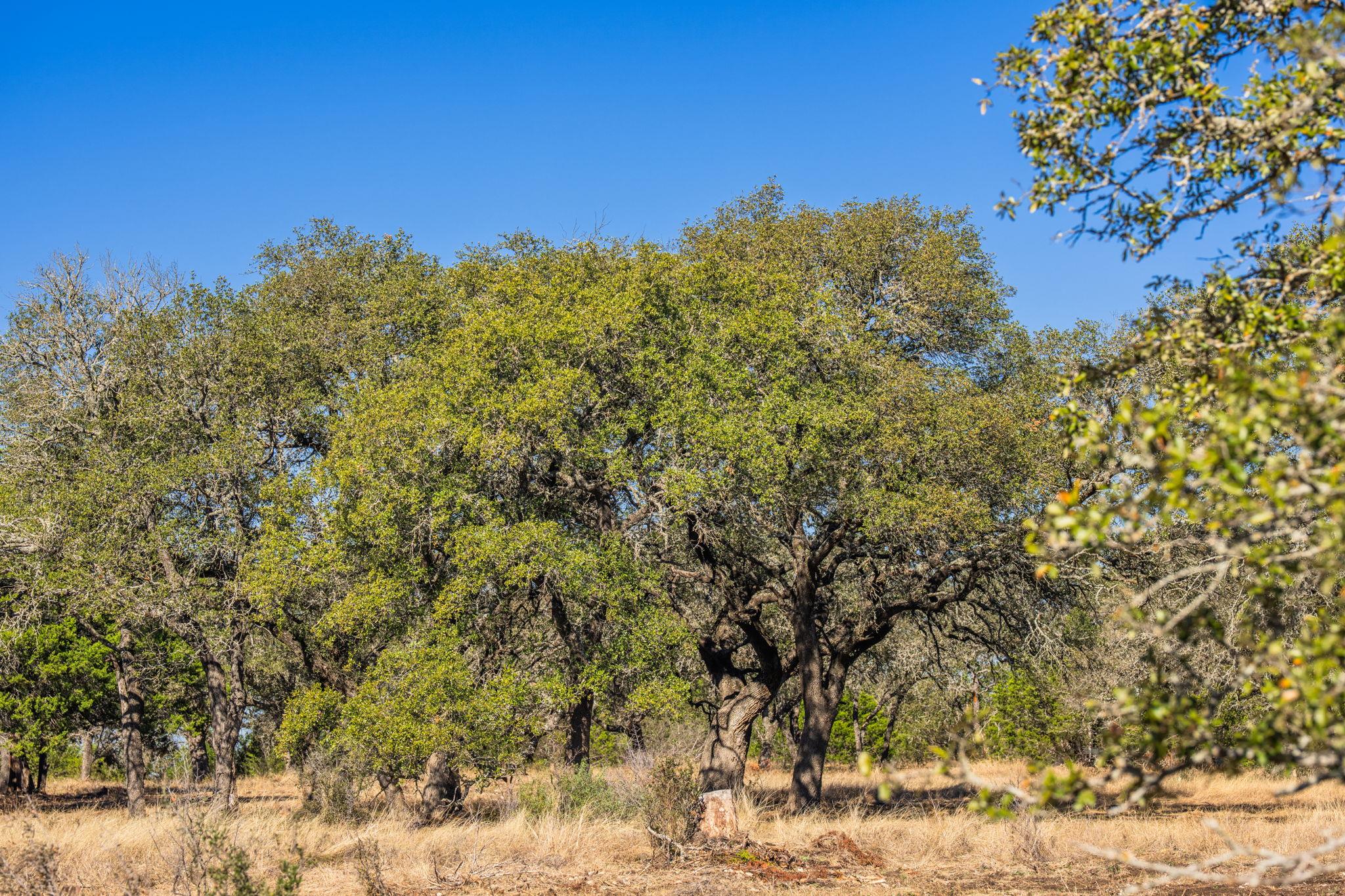 4772-1 County Road 340