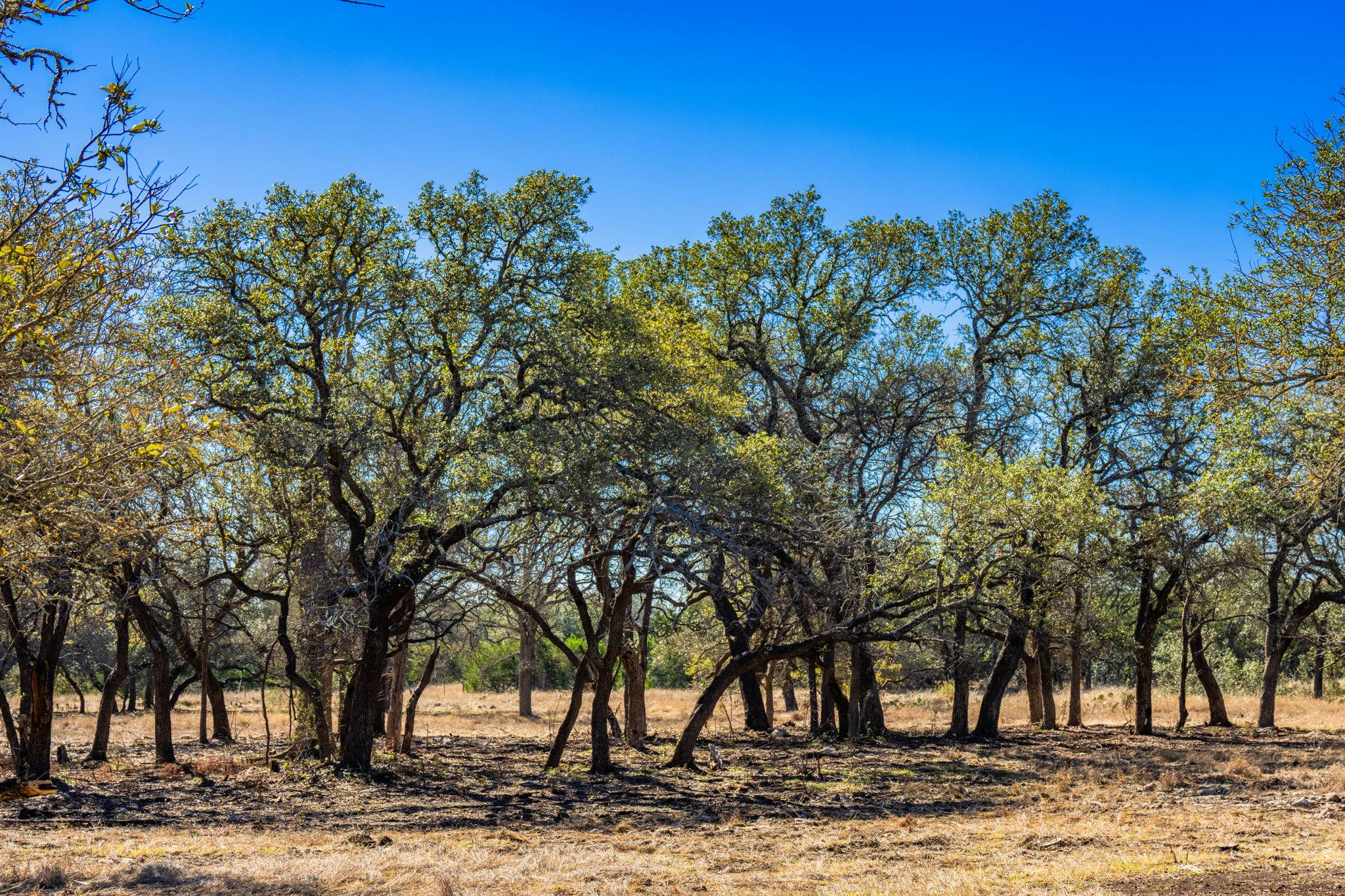 4772-1 County Road 340