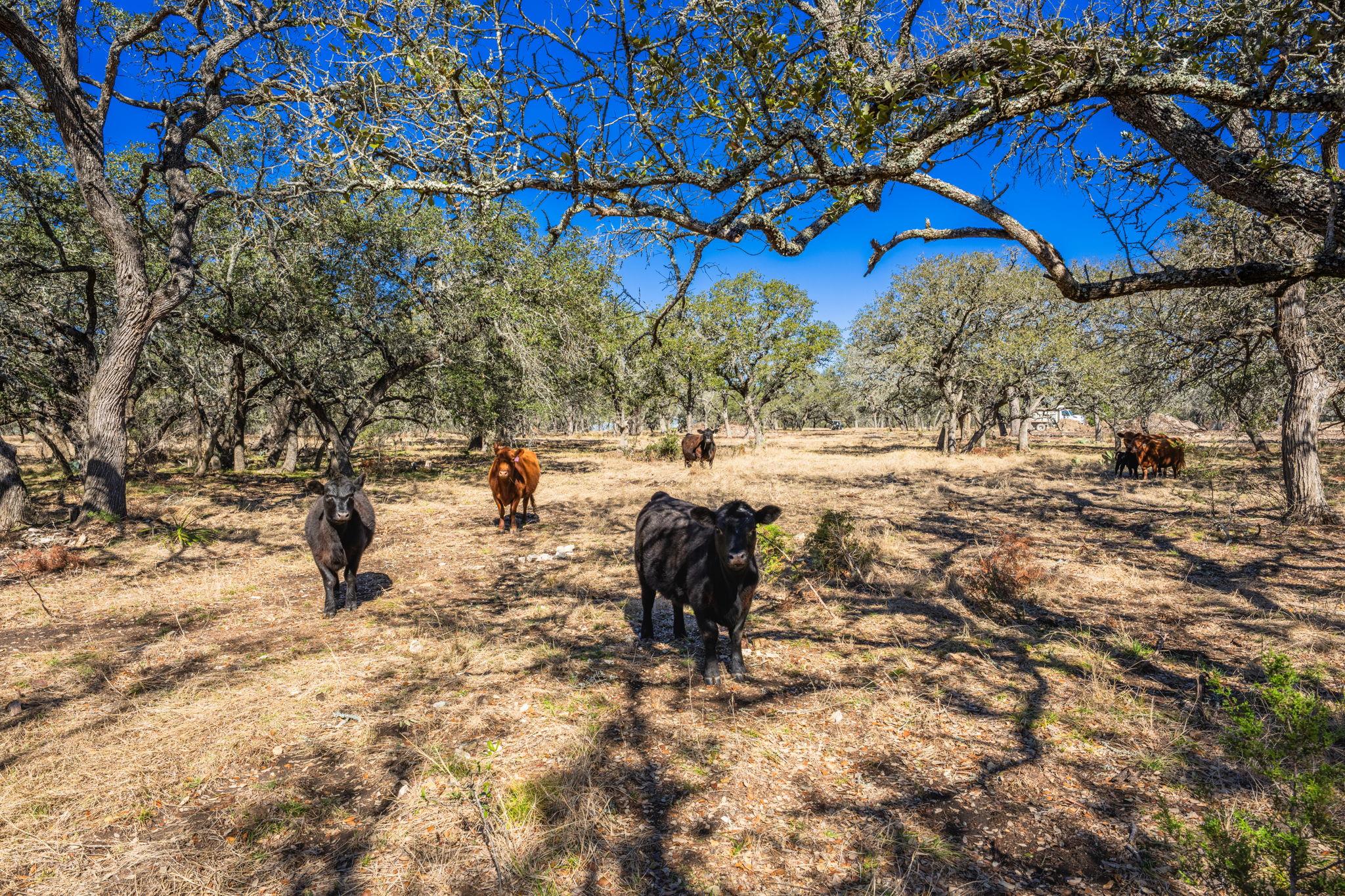 4772-1 County Road 340