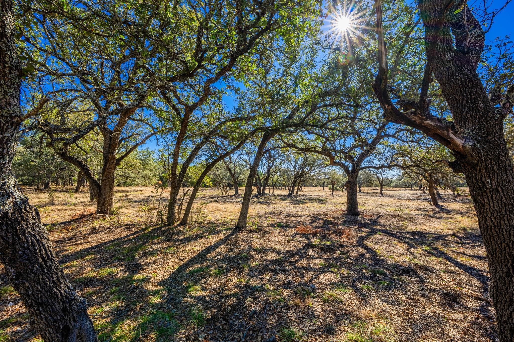 4772-1 County Road 340