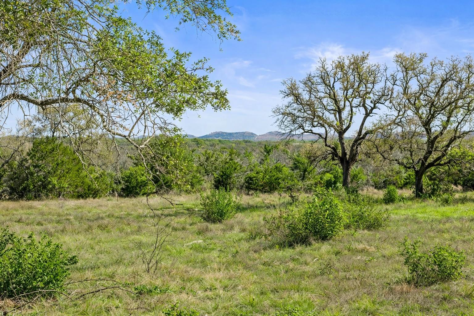 0 Lone Star Oak RNCH