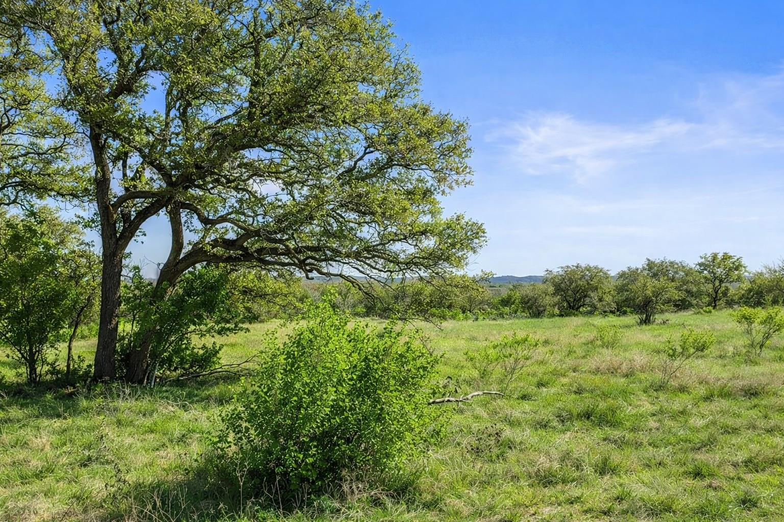 0 Lone Star Oak RNCH