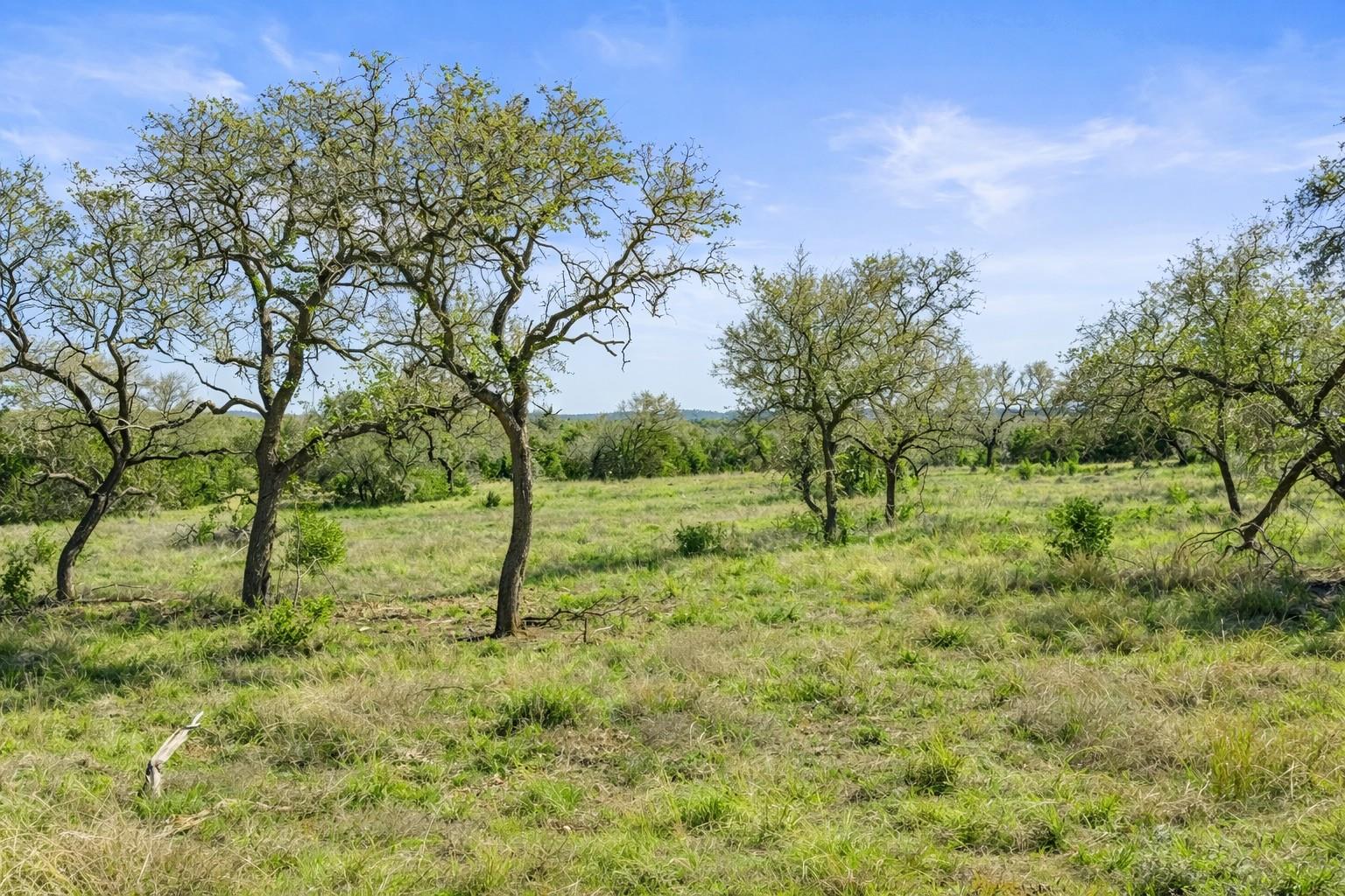 0 Lone Star Oak RNCH