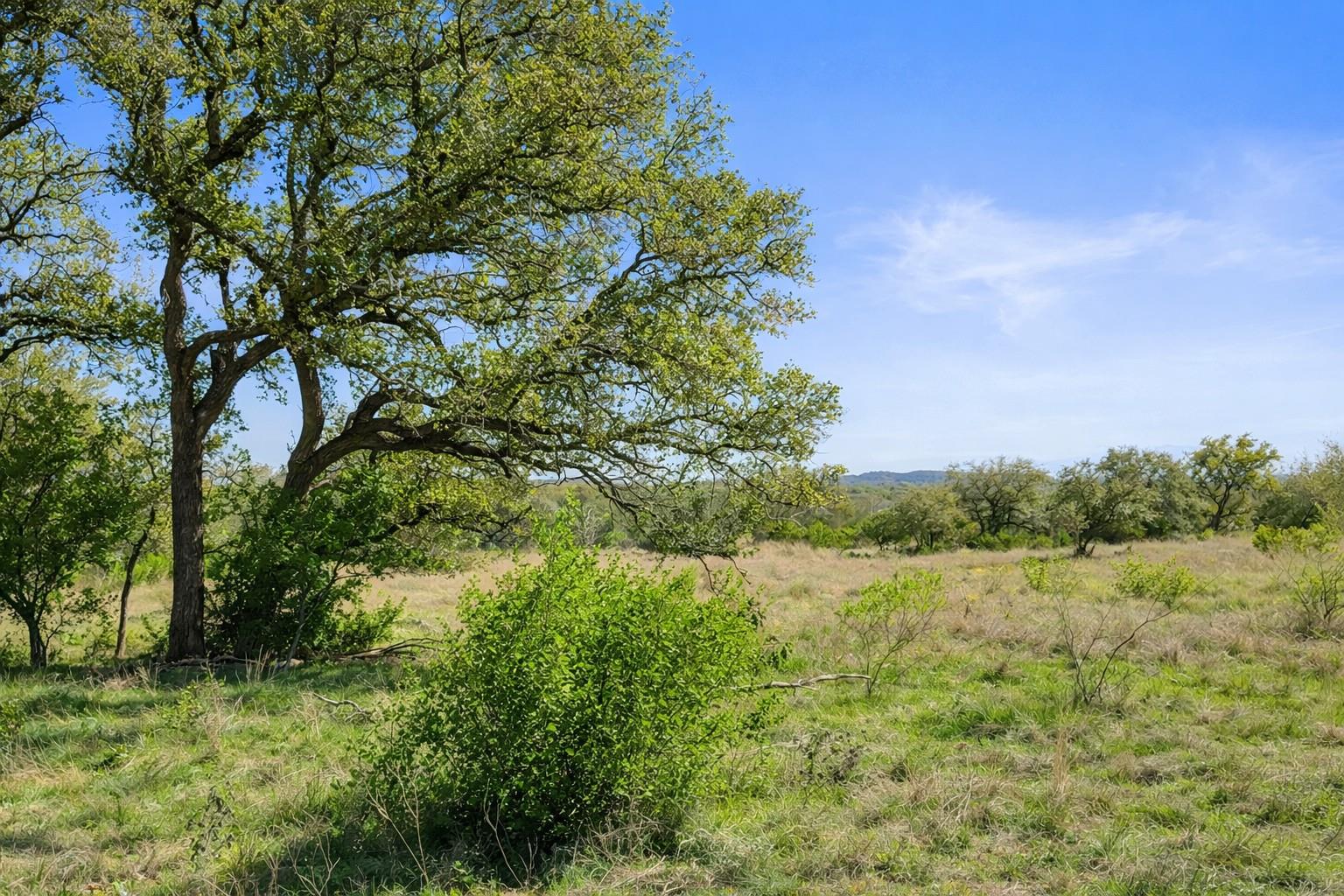 0 Lone Star Oak RNCH