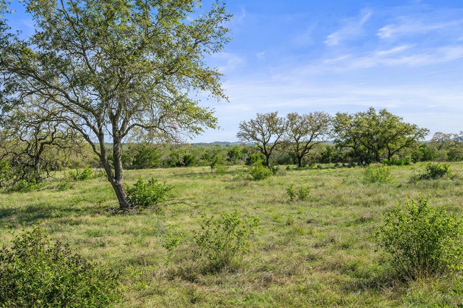 0 Lone Star Oak RNCH