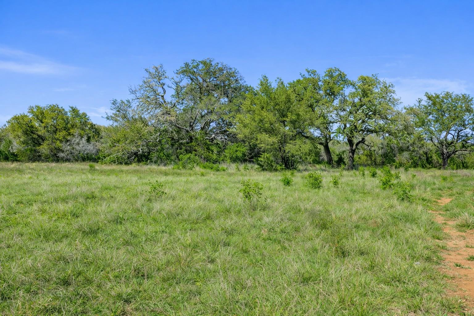 0 Lone Star Oak RNCH