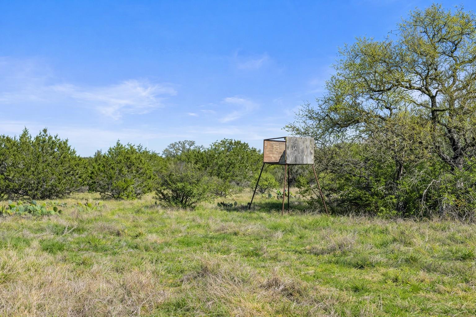 0 Lone Star Oak RNCH