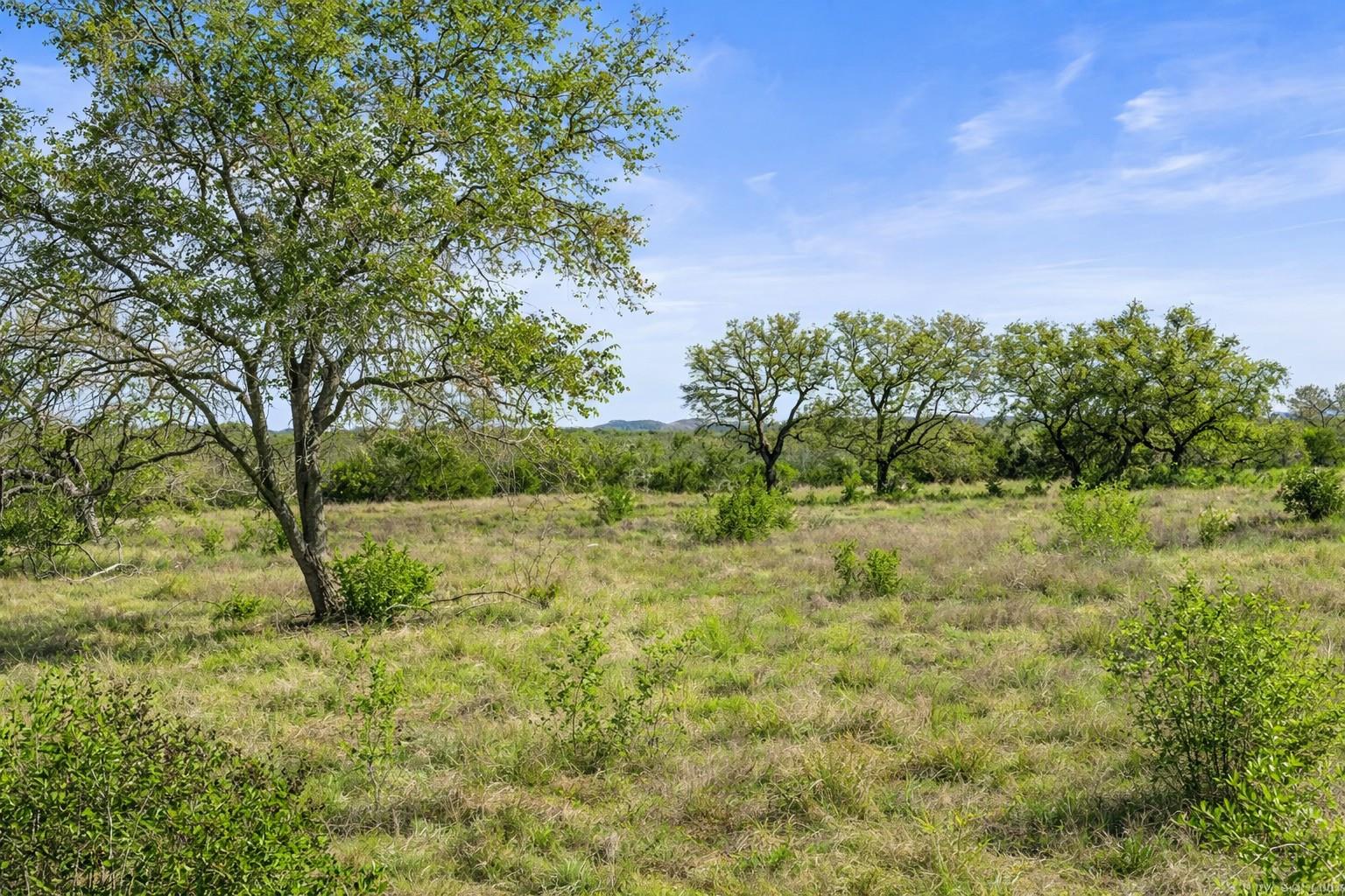 0 Lone Star Oak RNCH