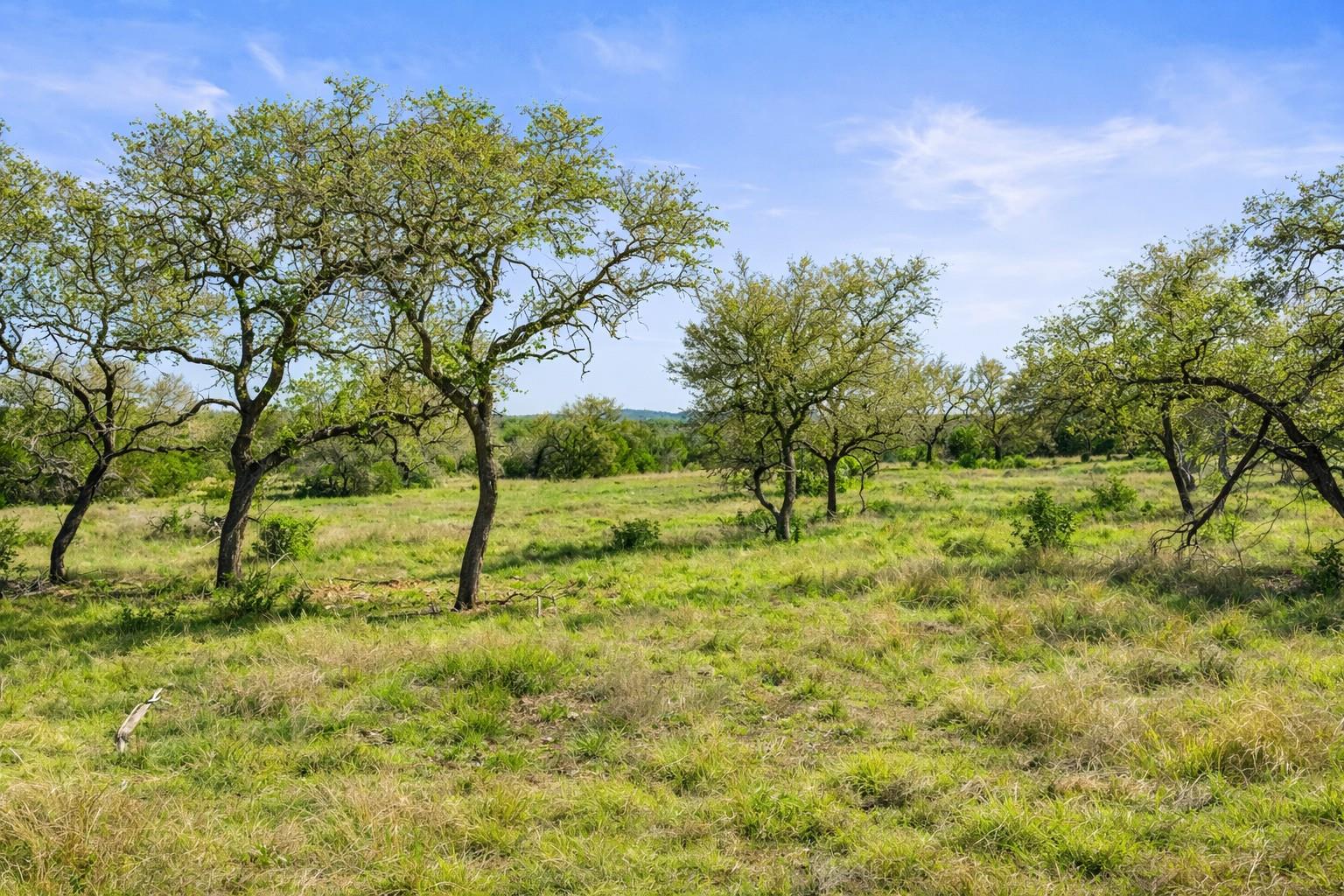 0 Lone Star Oak RNCH